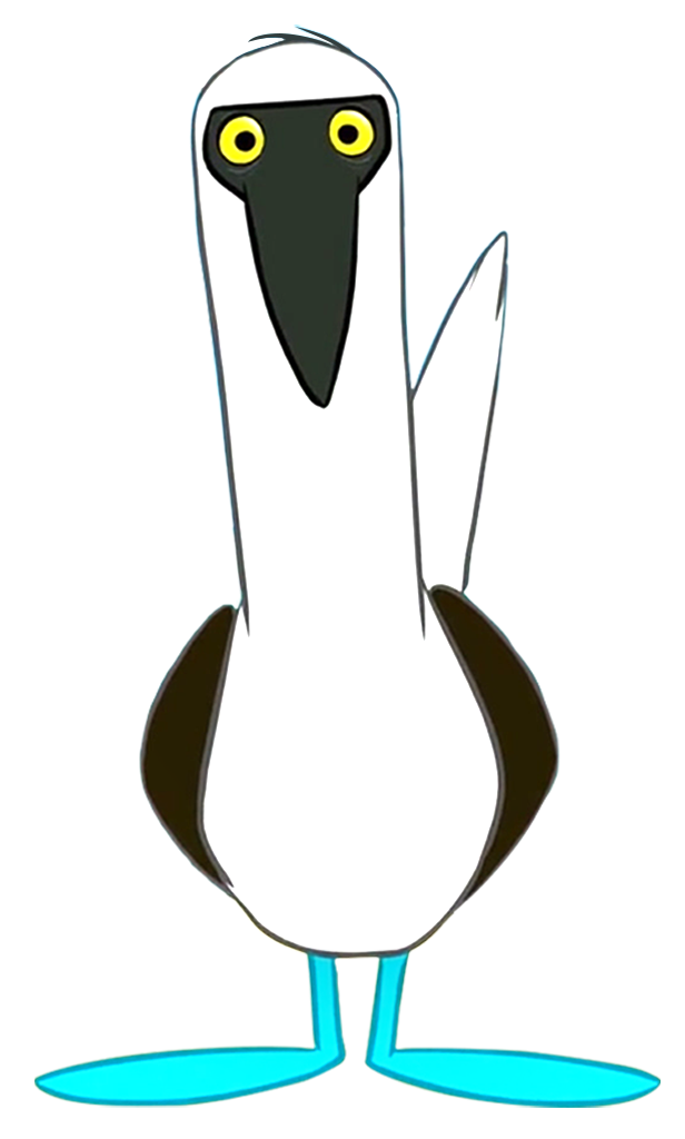 Bluefooted Booby Character